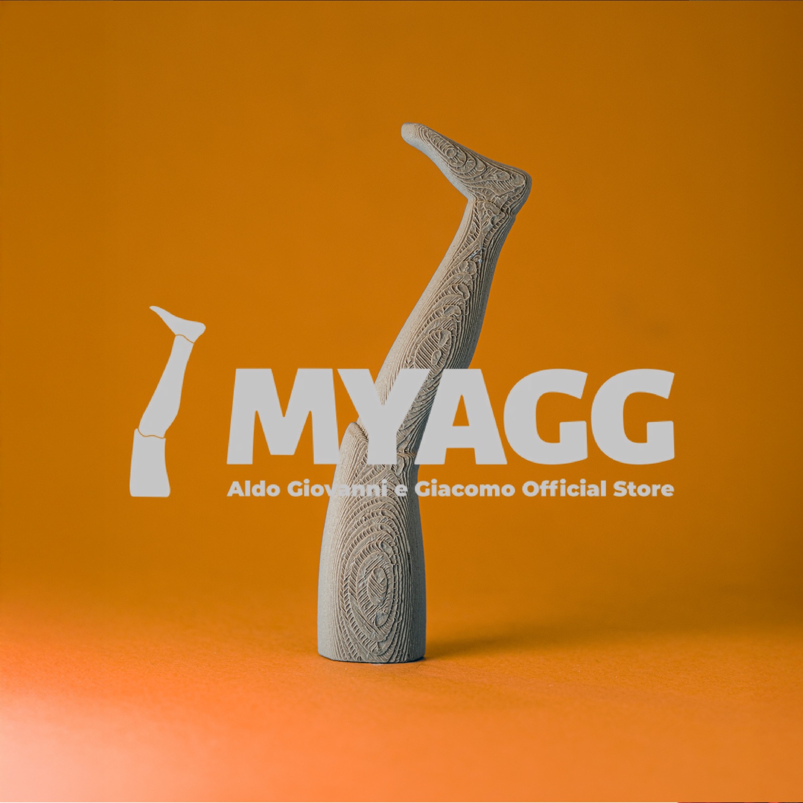 Progetto MYAGG su fondo arancione